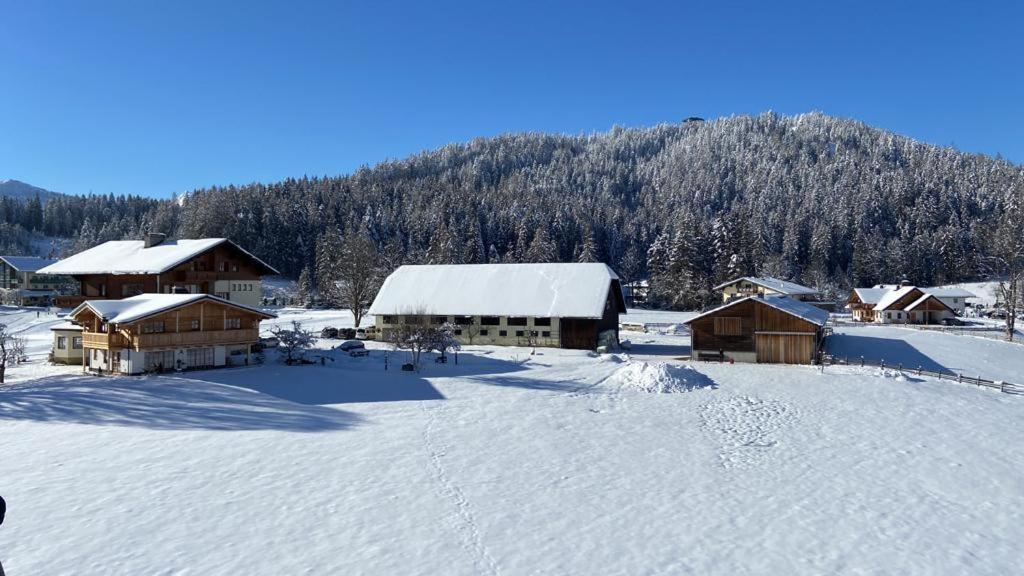 Pension Moeslehnerhof Ramsau am Dachstein Exterior photo